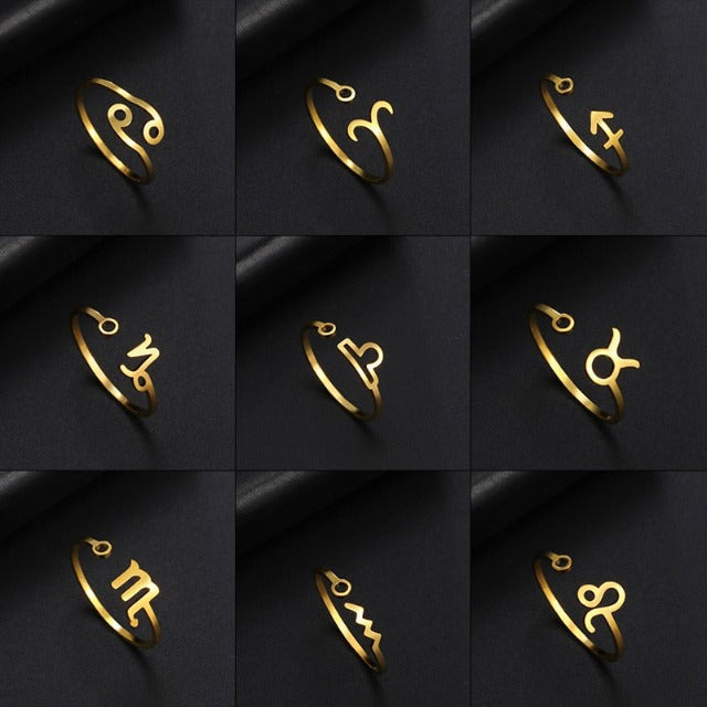 Anillo Signo del Zodiaco 12 Constelaciones Anillo de Caballero Astrología
