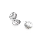 Pendientes Conchas de Vieira Concha plata
