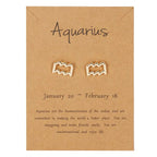 Pendientes Signo del Zodiaco 12 Constelaciones acuario