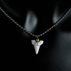 Collar con Colgante Diente de Tiburón Blanco