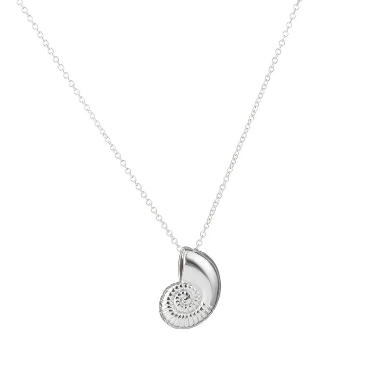 Collar con Colgante de Concha Caracol para Hombre plata