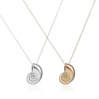 Collar con Colgante de Concha Caracol para Hombre oro